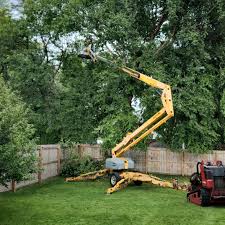 Best Emergency Tree Removal  in Rustburg, VA